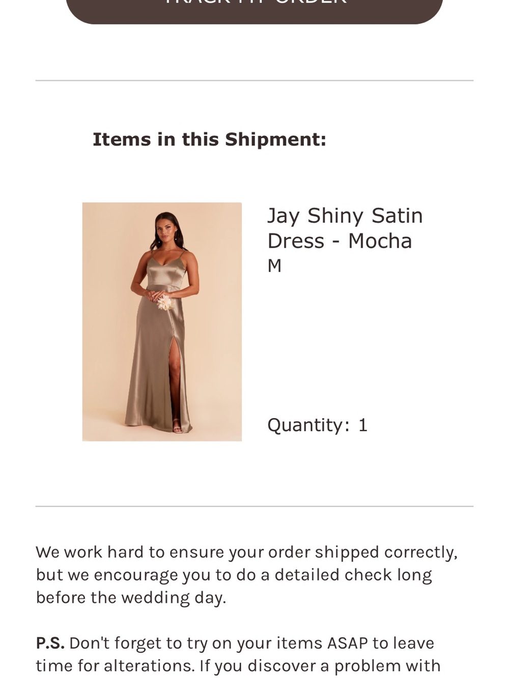 Birdy grey Shiny Satin Dress - Mocha